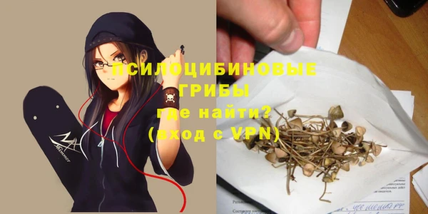 молекула духа Алзамай