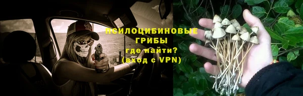 винт Алексеевка