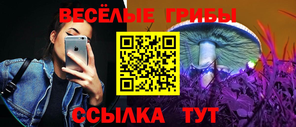 Псилоцибиновые грибы Cubensis  купить   Боровичи  Вход с VPN 